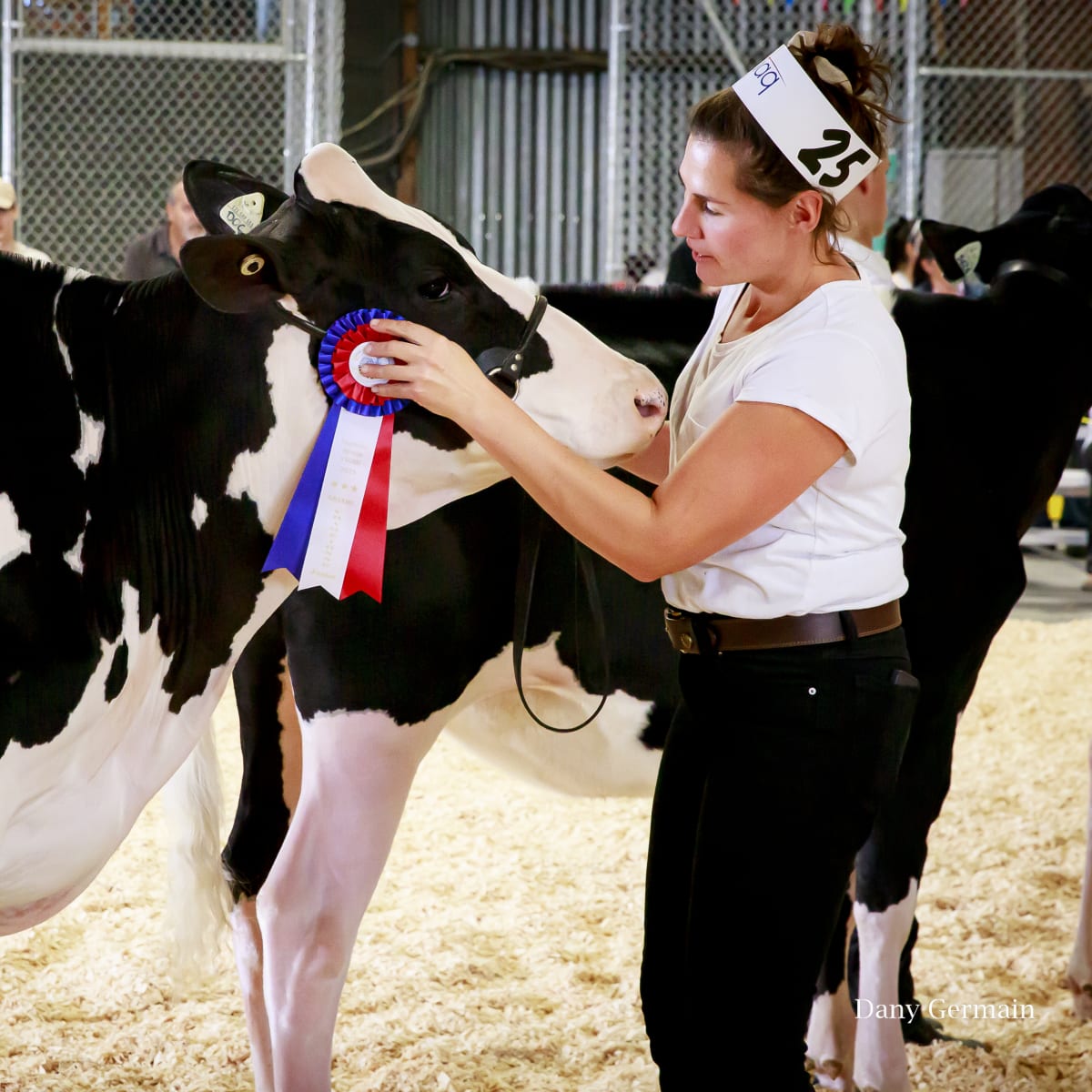 Foire agricole de Landrienne.