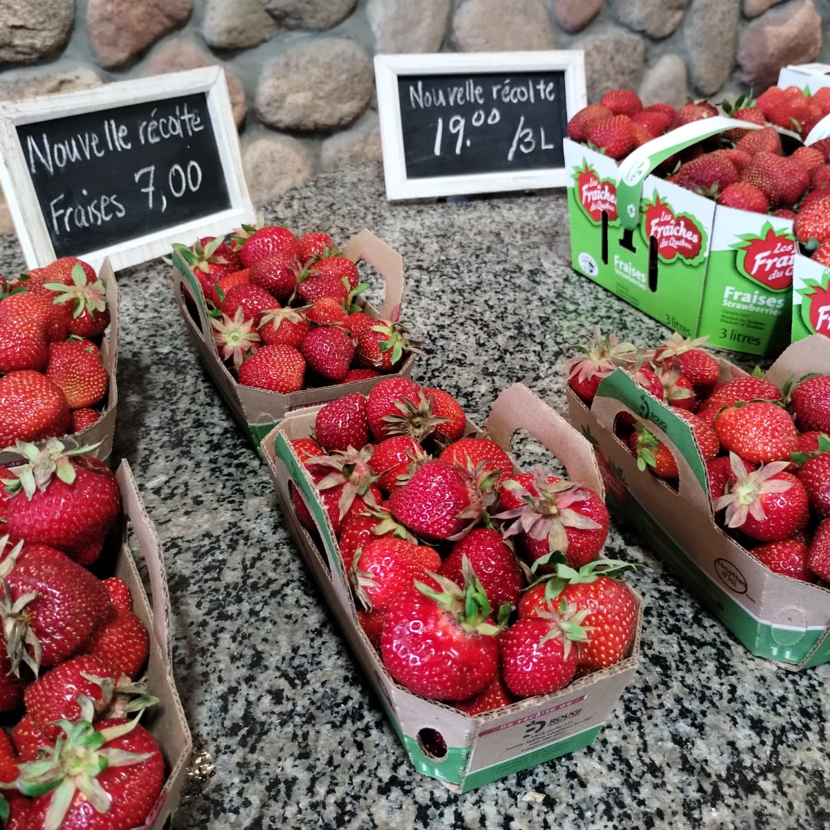 Étalage de fraises dans une fraisière.