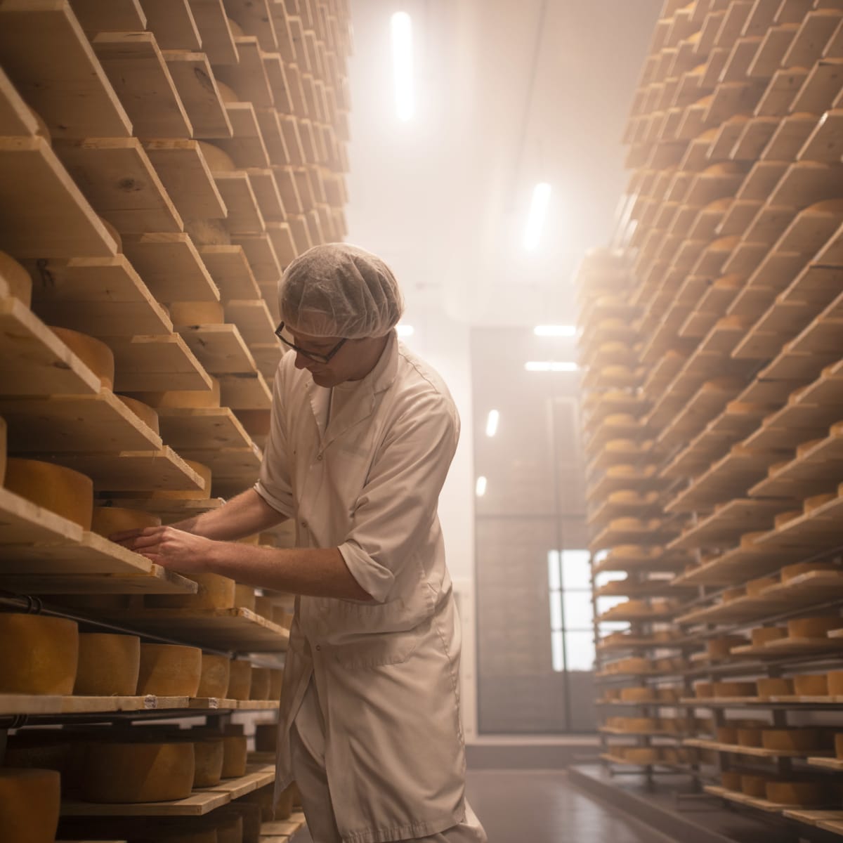 Fromager avec des centaines de fromages sur des tablettes