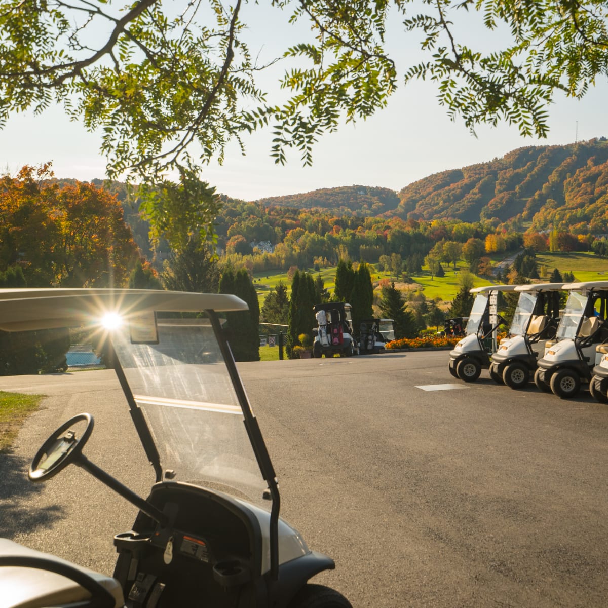 Kart de golf