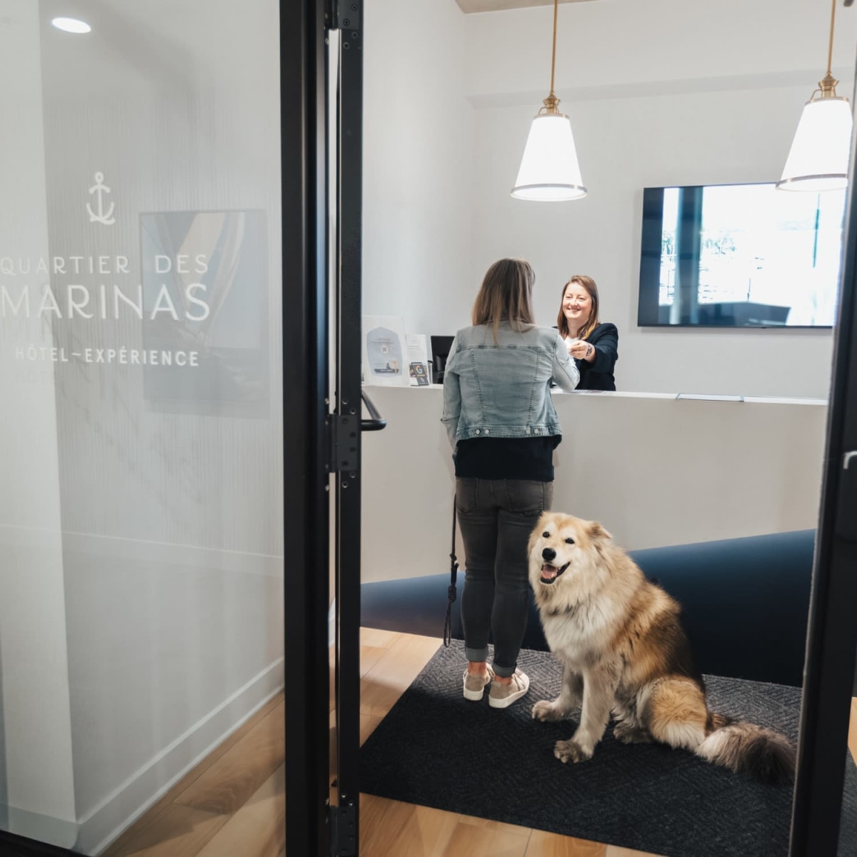 Chien à l'Hôtel-Expérience Quartier des marinas.