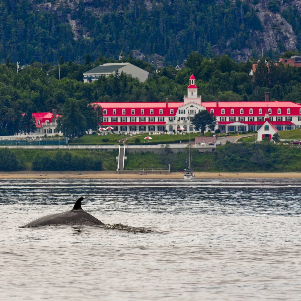 L'Hôtel Tadoussac.
