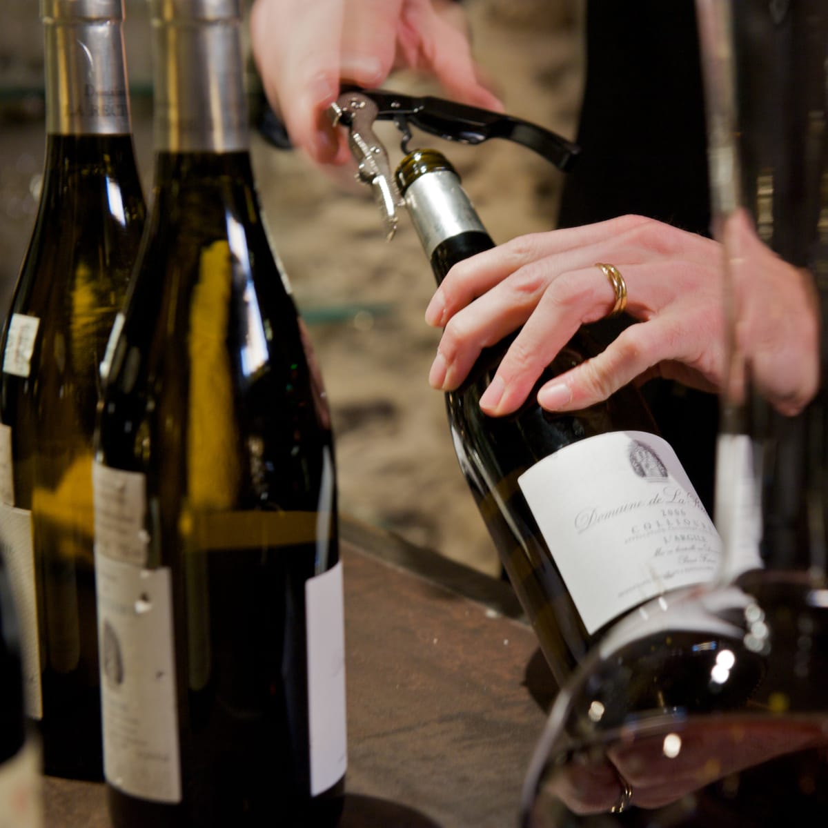 Bouteilles de vin. 