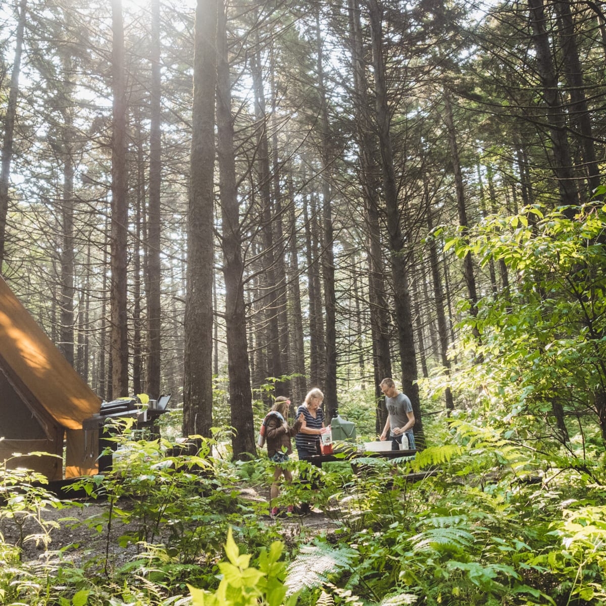 Ready-to-camp unit in the woods at Huttopia Sutton.