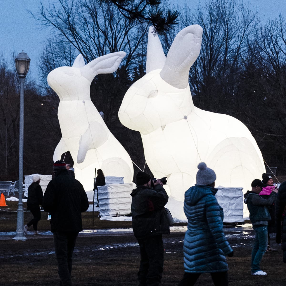 Deux lapins blancs géants de l'artiste Amanda Parer, au Jardin d'Hiver 2021.