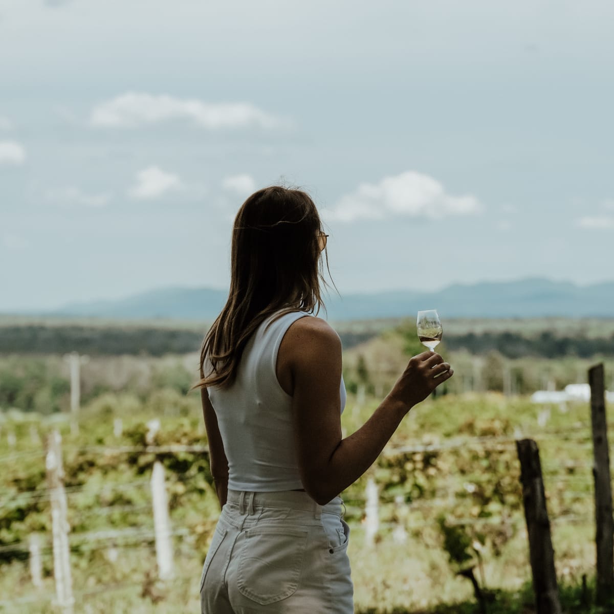 La Route des vins de Brome-Missisquoi