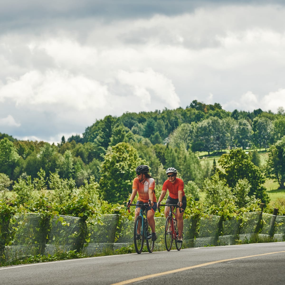 Deux personnes à vélo sur un route asphaltée bordée de vignes.