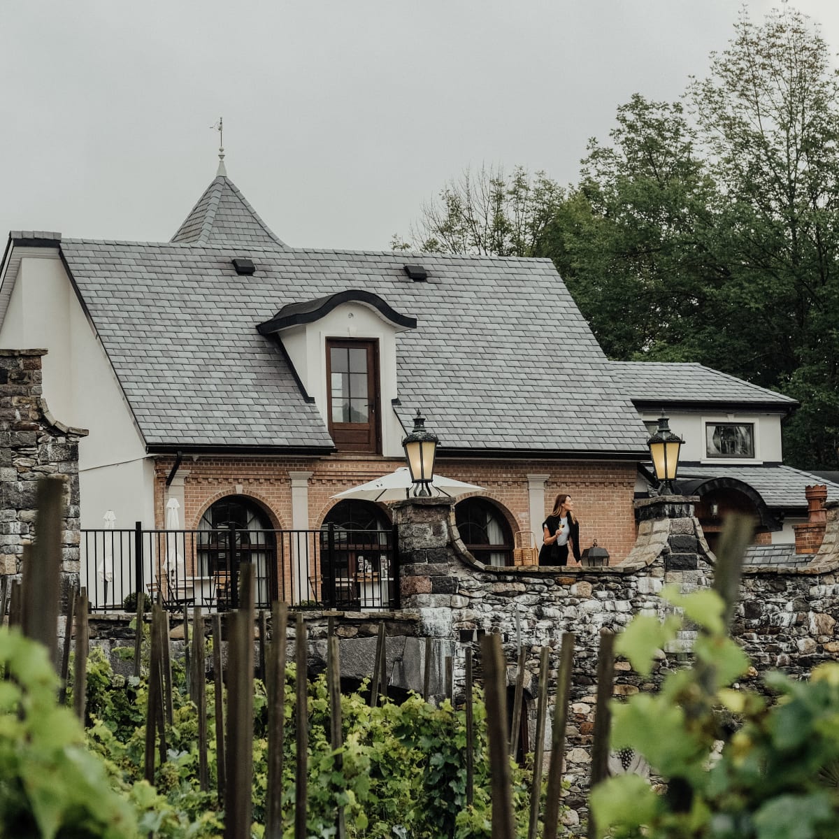 Devanture d'un hébergement champêtre, avec des vignes en avant-plan.
