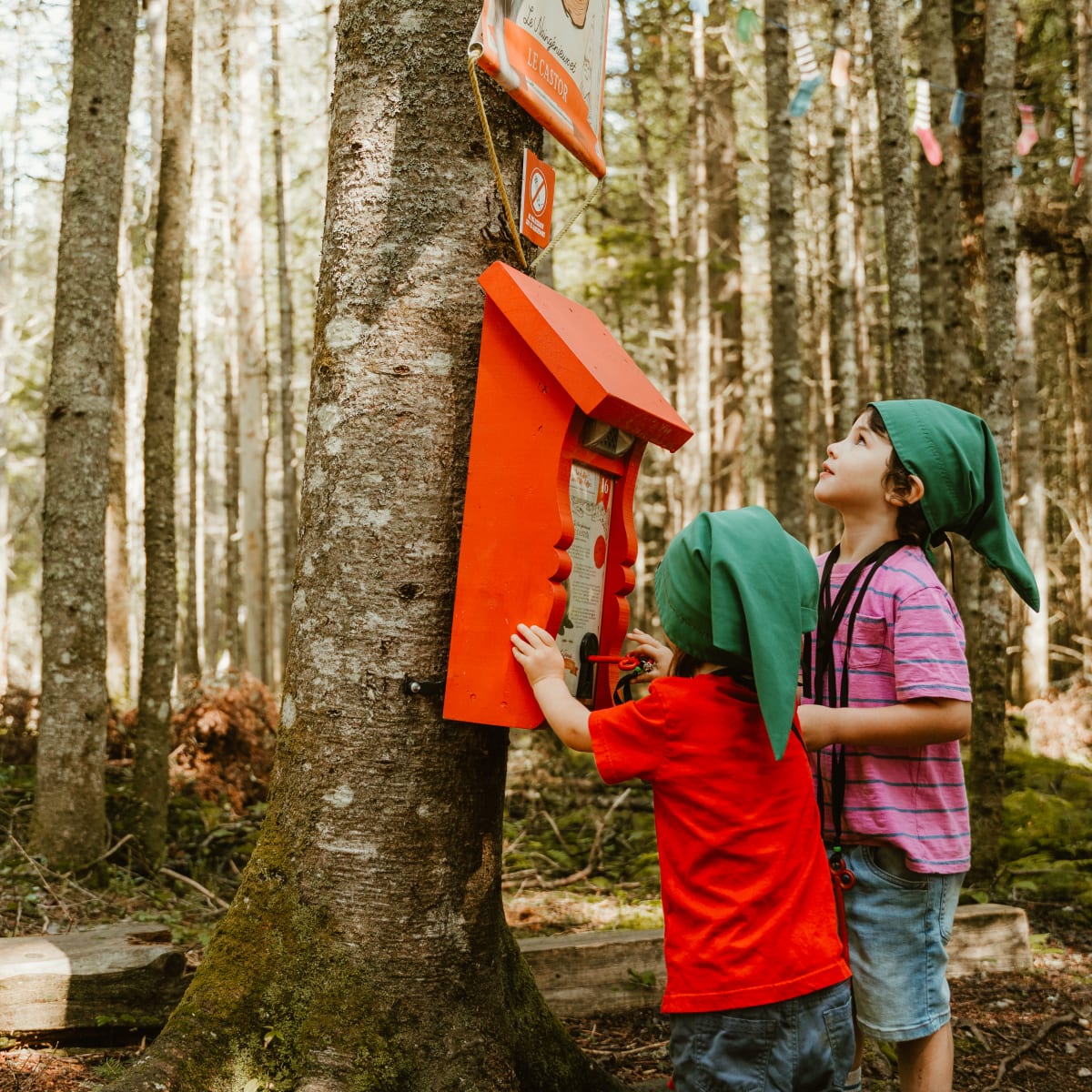 Enfants avec des chapeaux de gnomes en chasse au trésors dans la forêt.