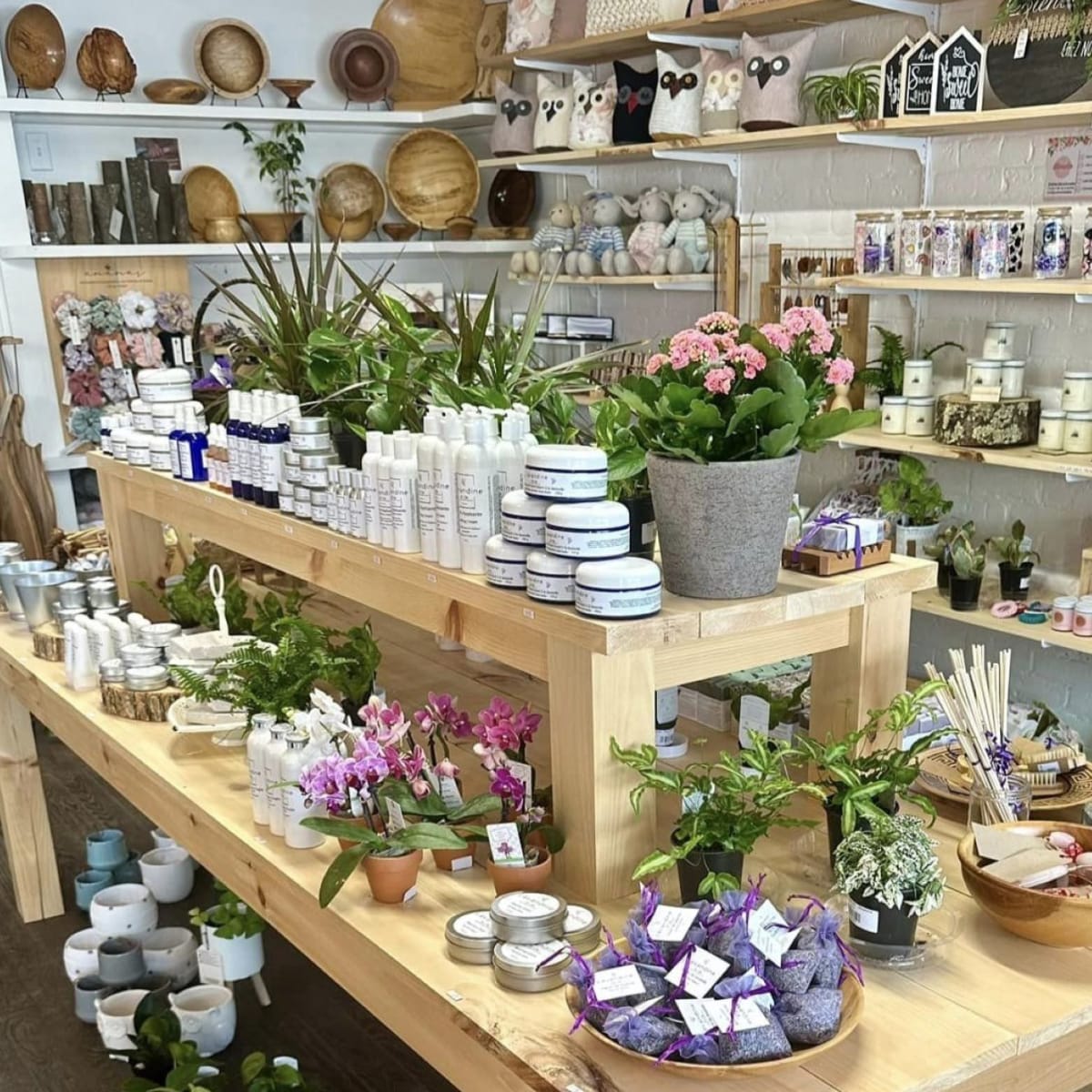 Boutique, Lavandine et cie.