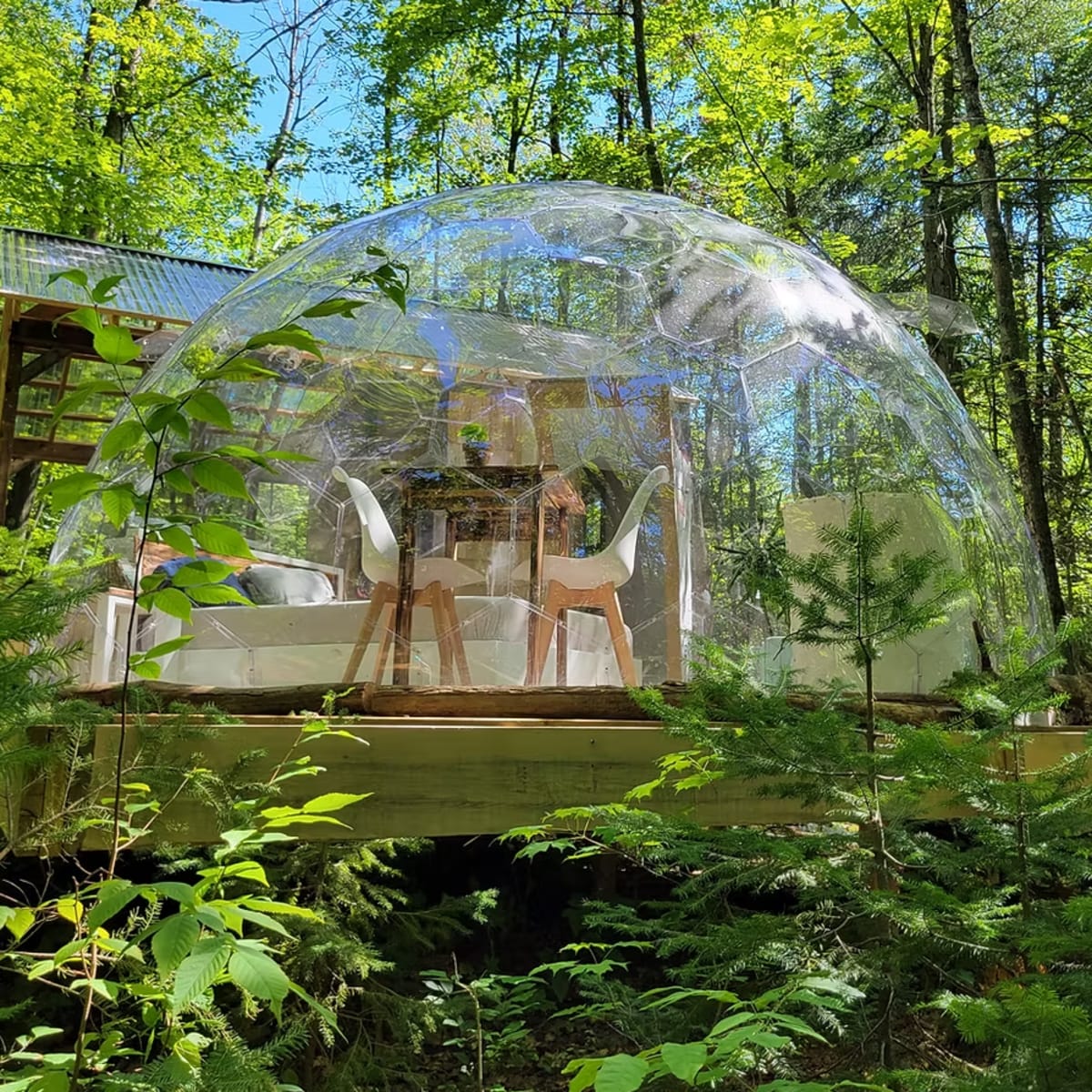 Bulle en été.