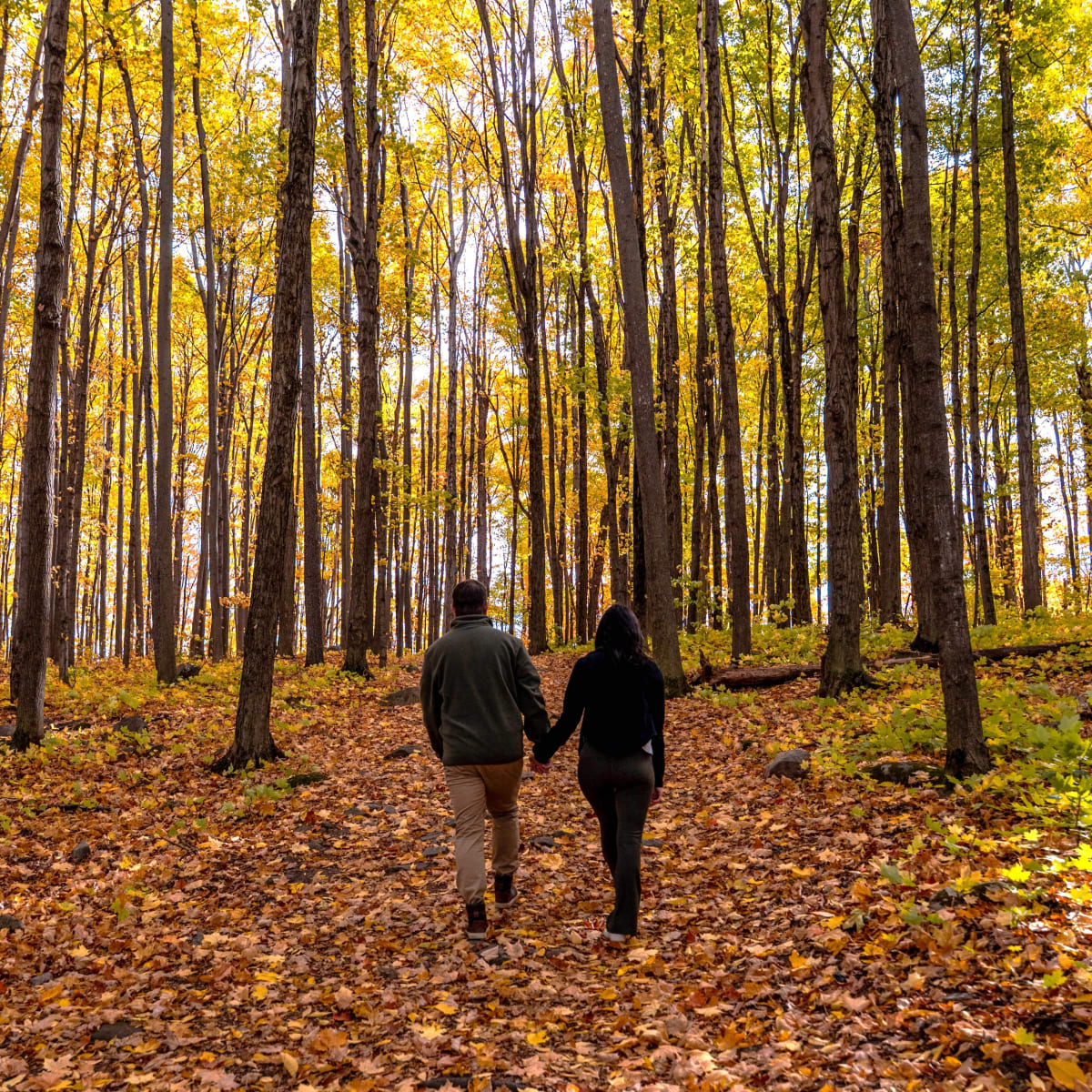 Couple marchant dans un paysage coloré d'automne.