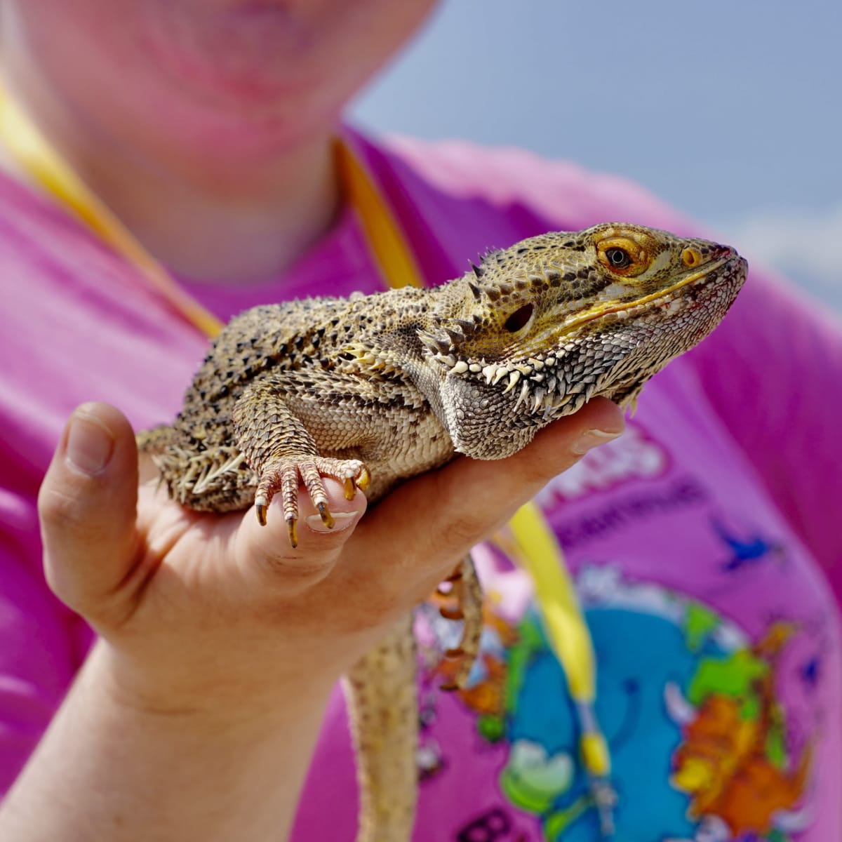Une femme avec un reptile dans la main au Festival de Sciences Lévisium 2026 à Québec
