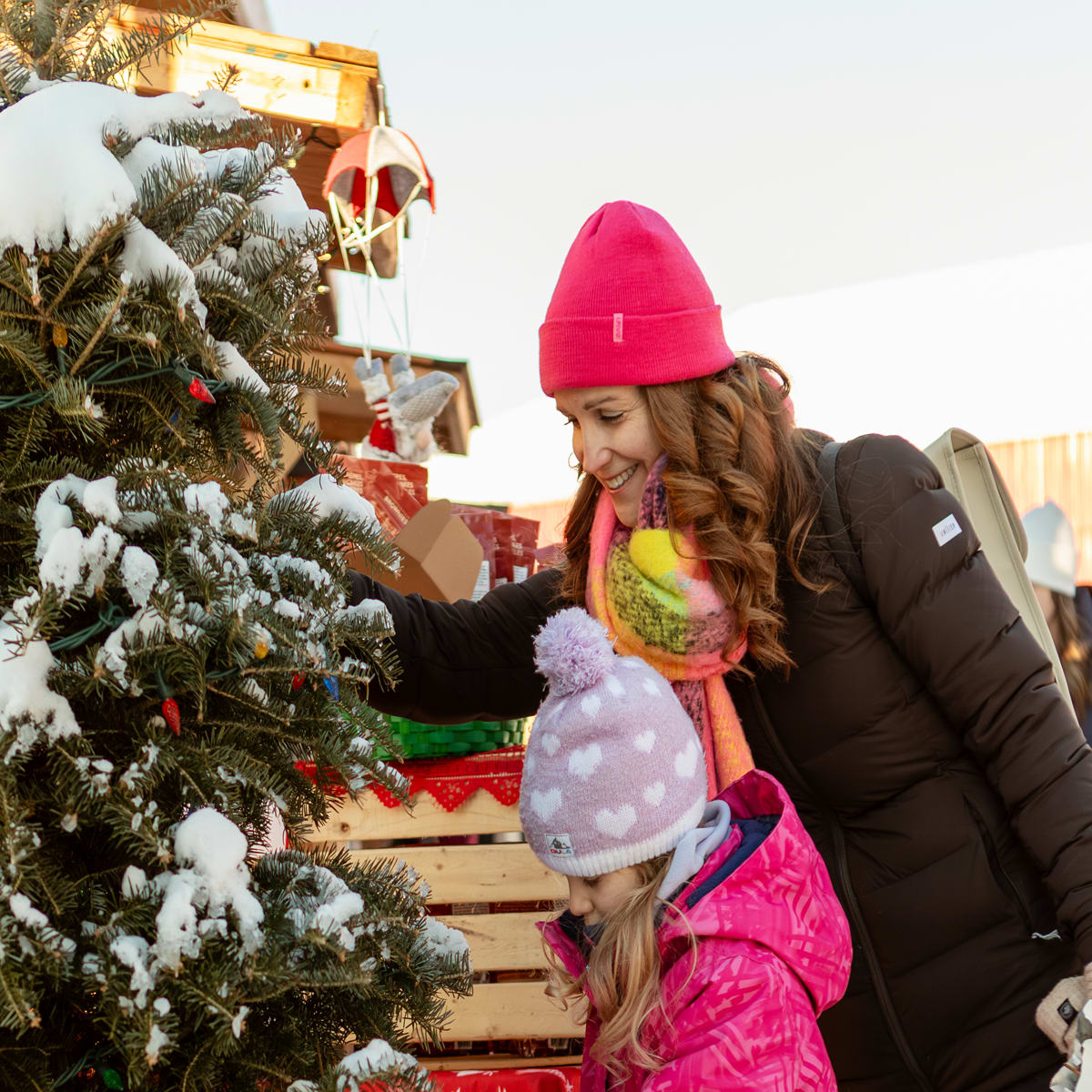 Noël, ça se vit dans La Jacques-Cartier