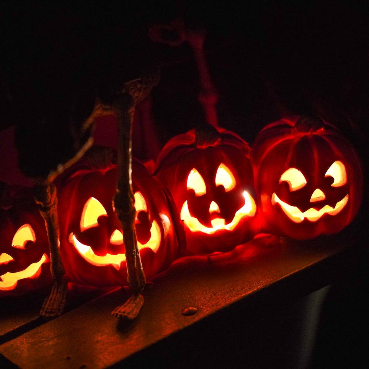 Des citrouilles, Marché d'Halloween de Mirabel.