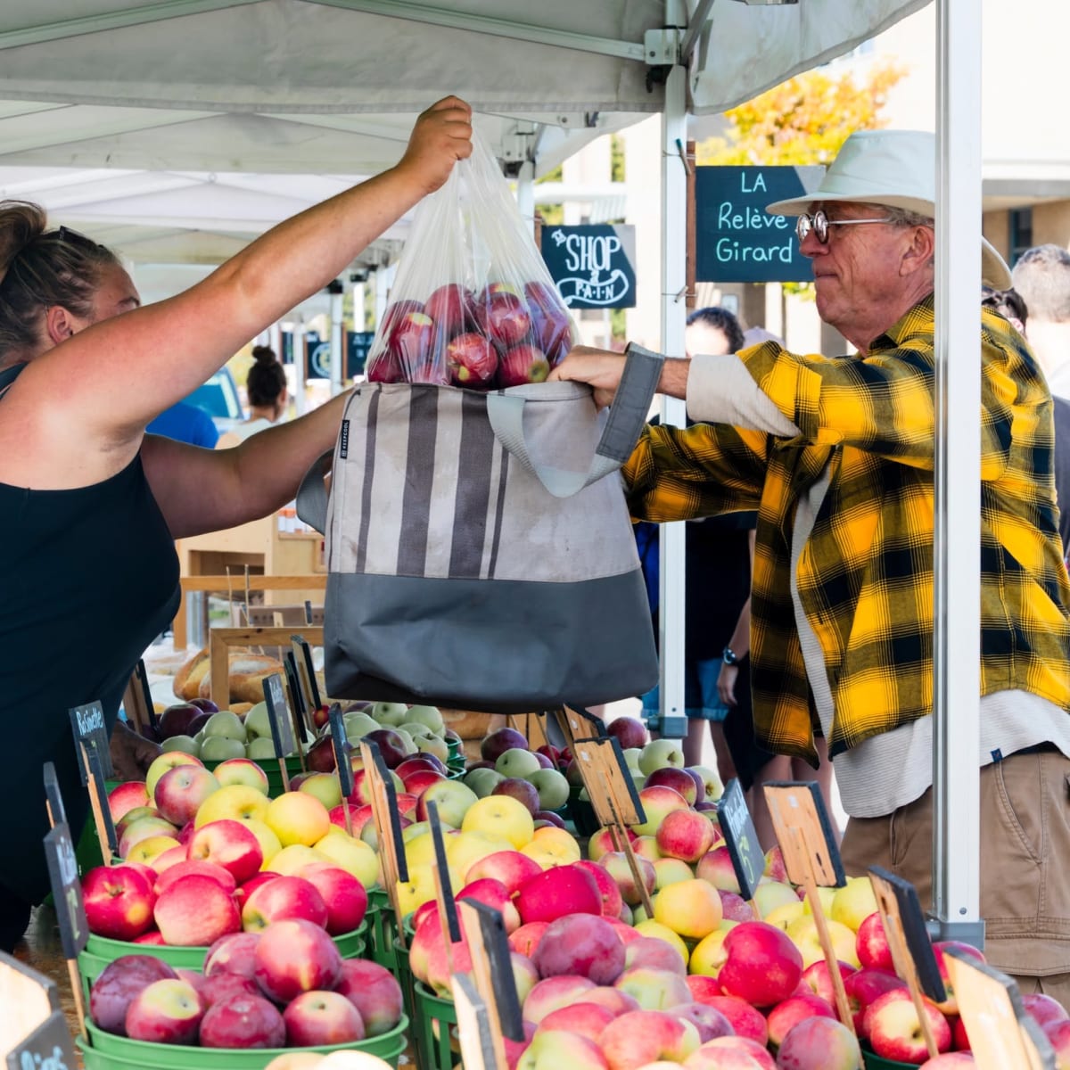 Apple stall from local producers