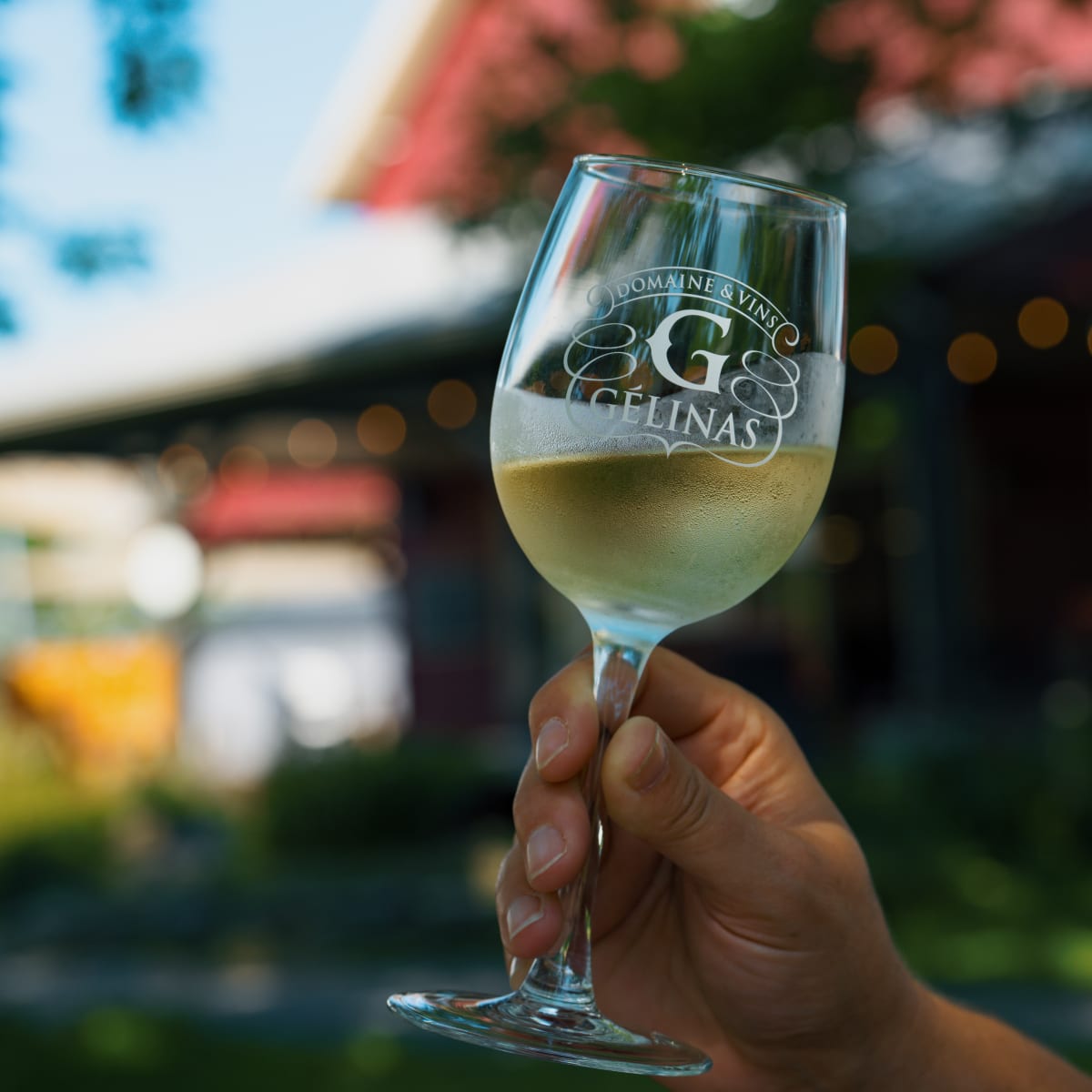 A glass of white wine