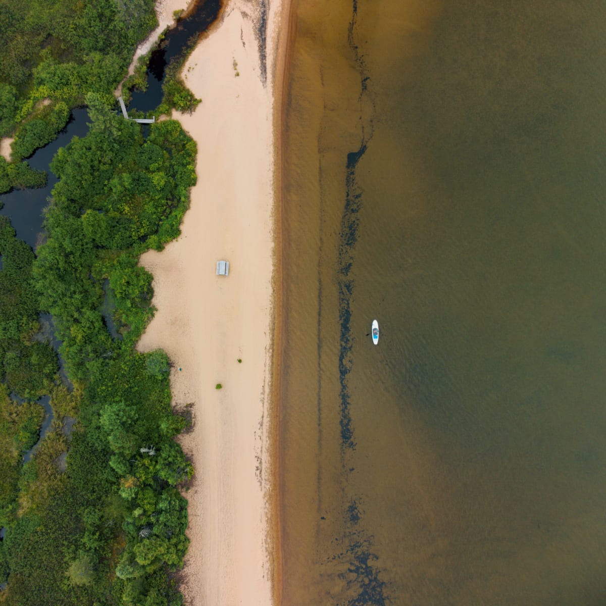 Aerial view of a beach