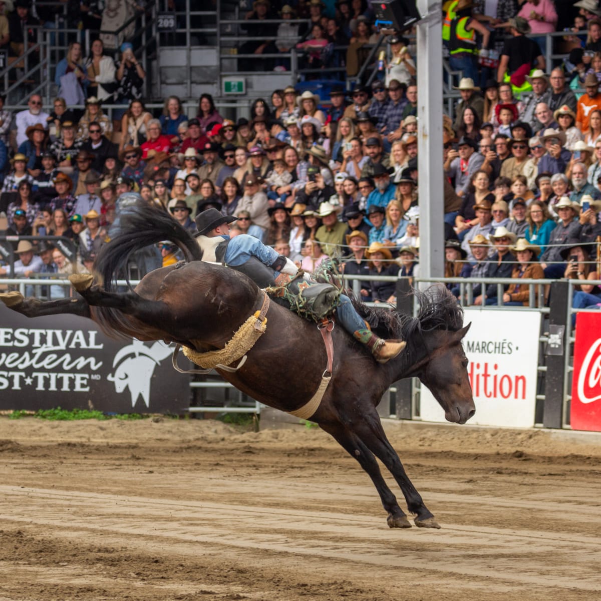 A man riding a horse in a rodeo