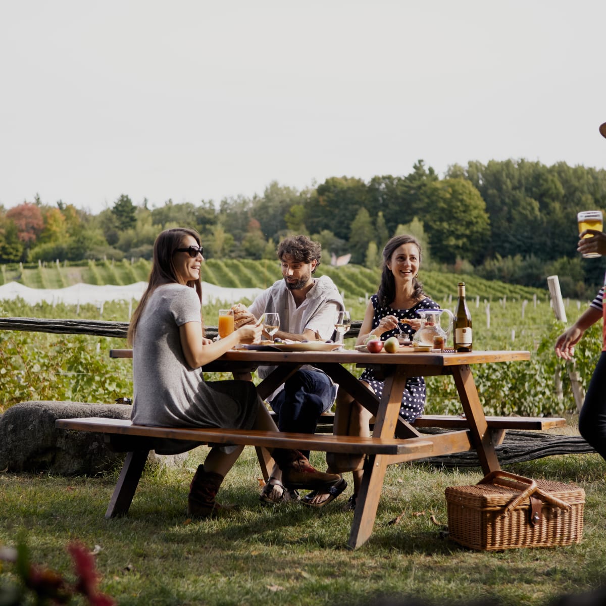 Brome-Missisquoi Wine Route - Picnic in the vineyards in Dunham