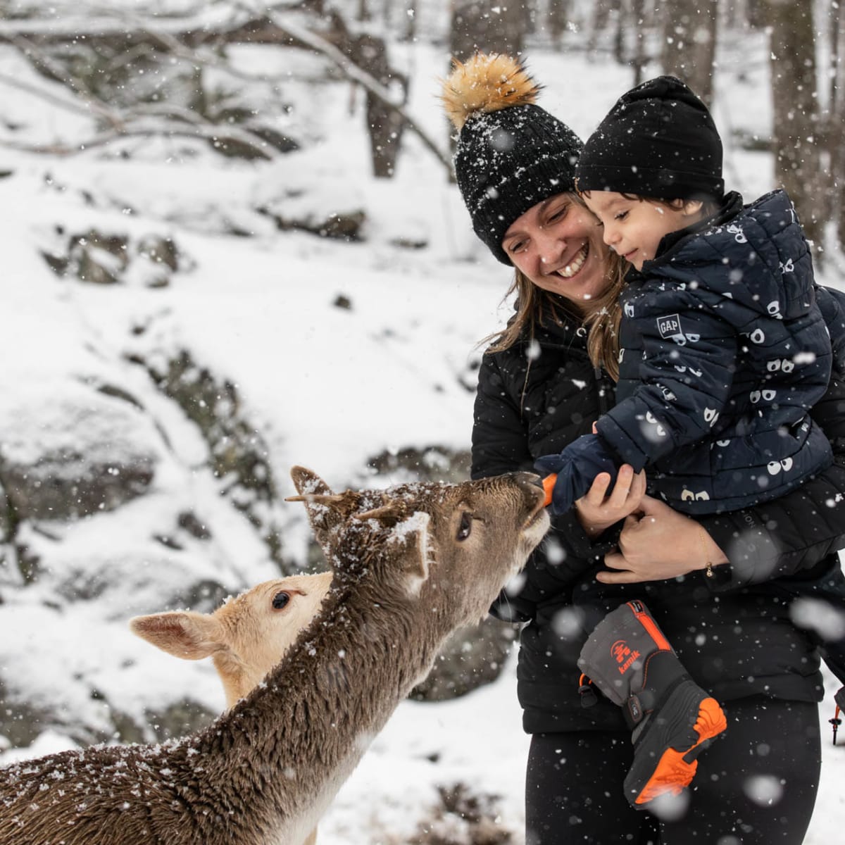 Ideas for a winter family vacation in Quebec
