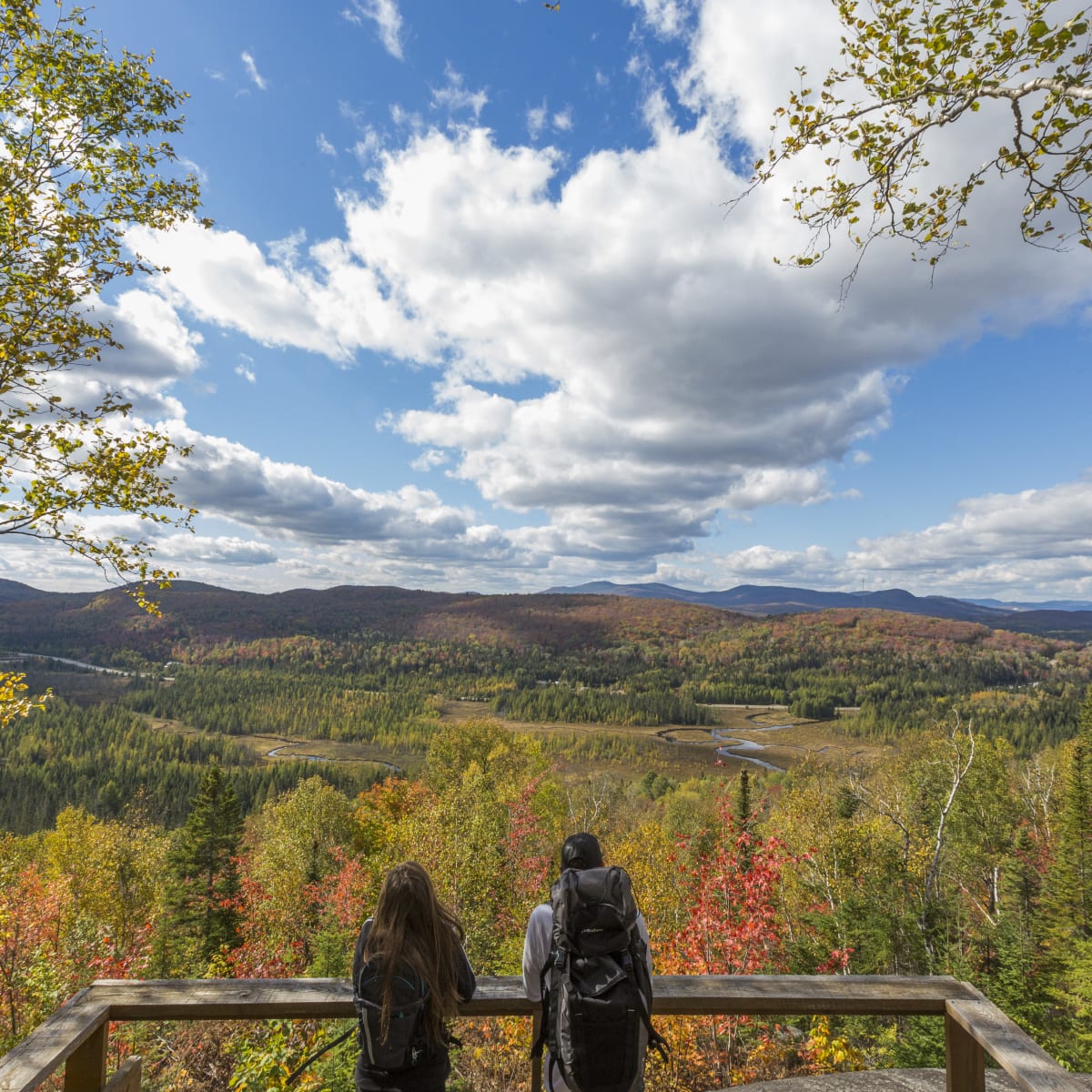 Perfect activities for a colourful fall with Quebec Adventure Outdoor - View from a lookout over the forest.