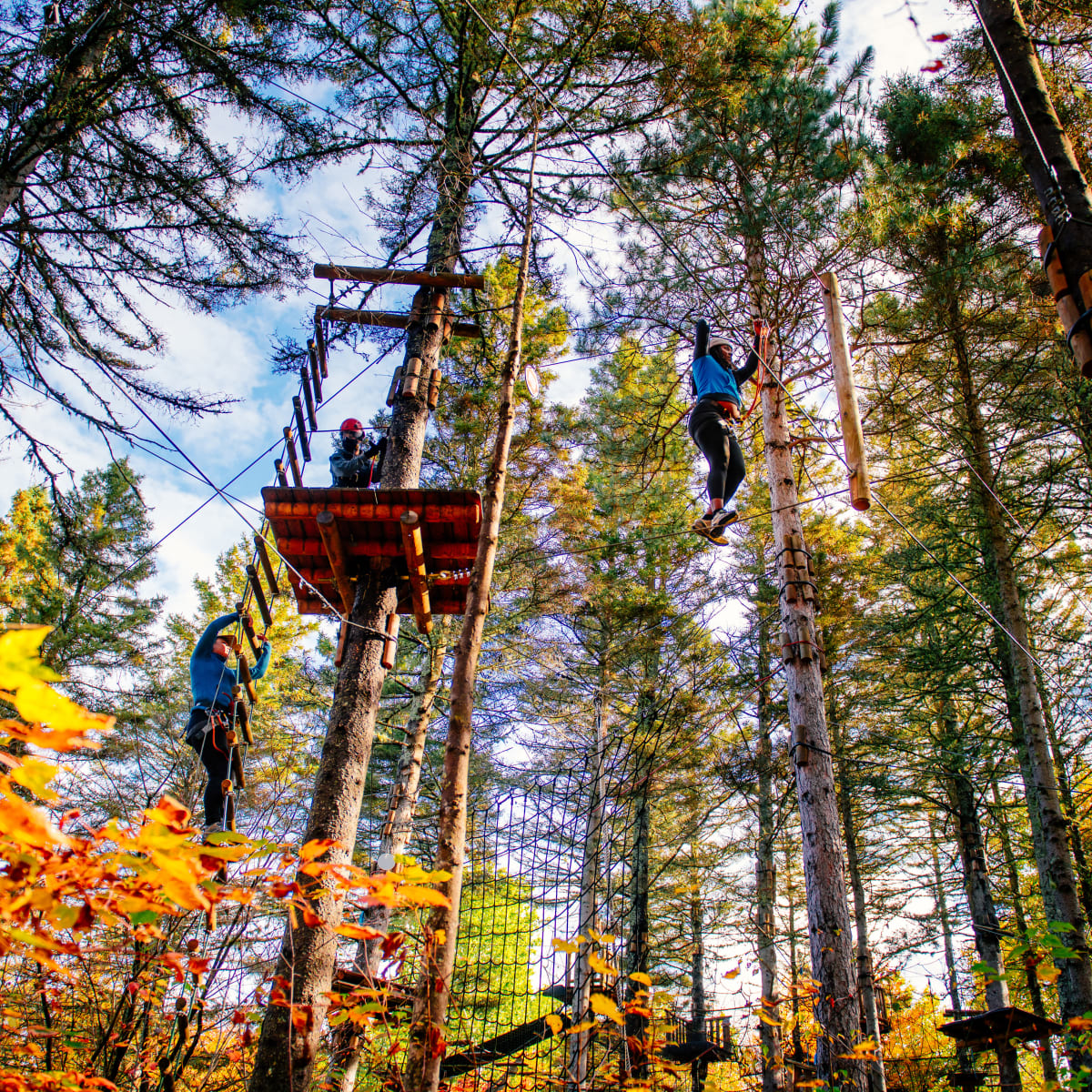 Perfect activities for a colourful fall with Quebec Adventure Outdoor - Aerial course