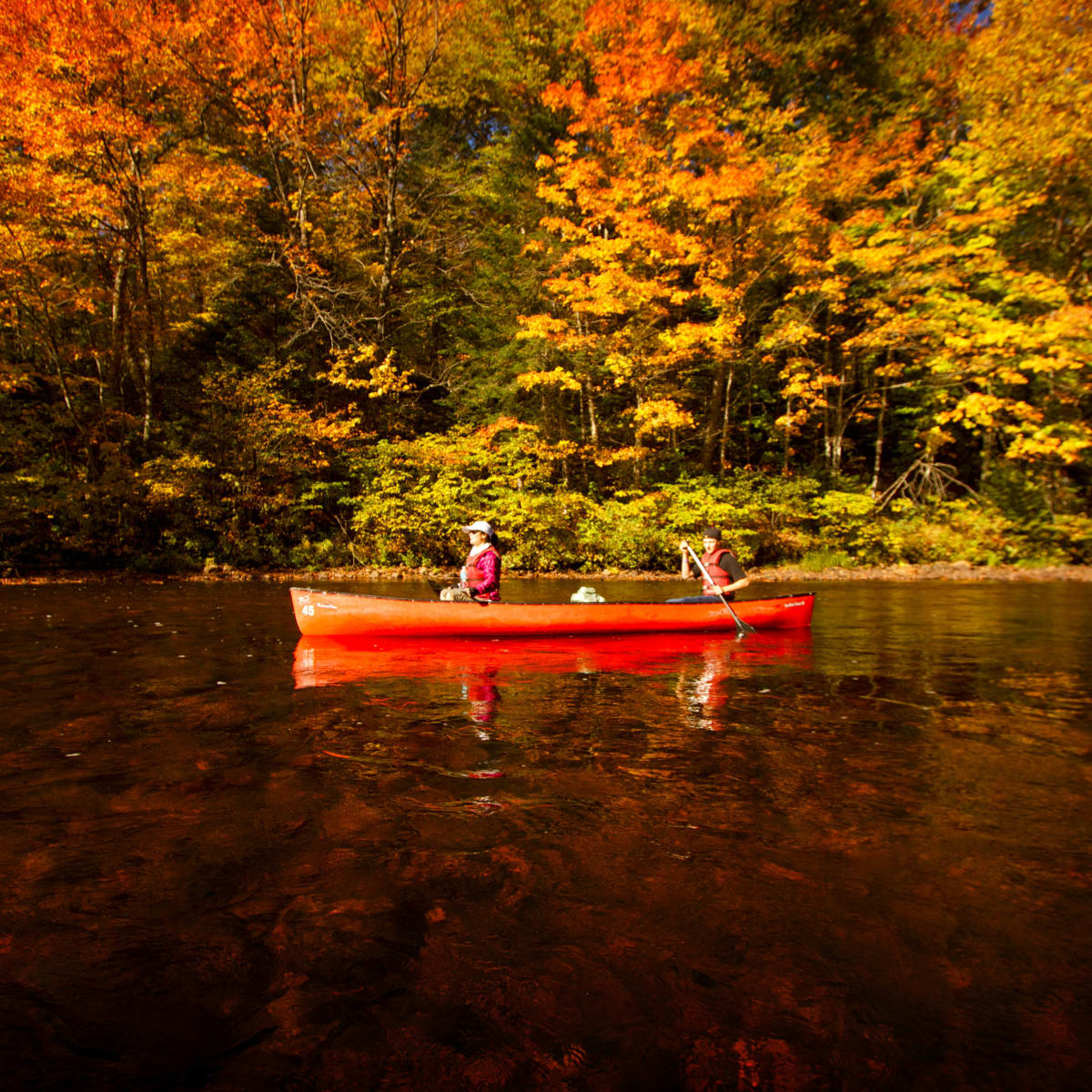 Perfect activities for a colourful fall with Quebec Adventure Outdoor - Calm water canoe trip