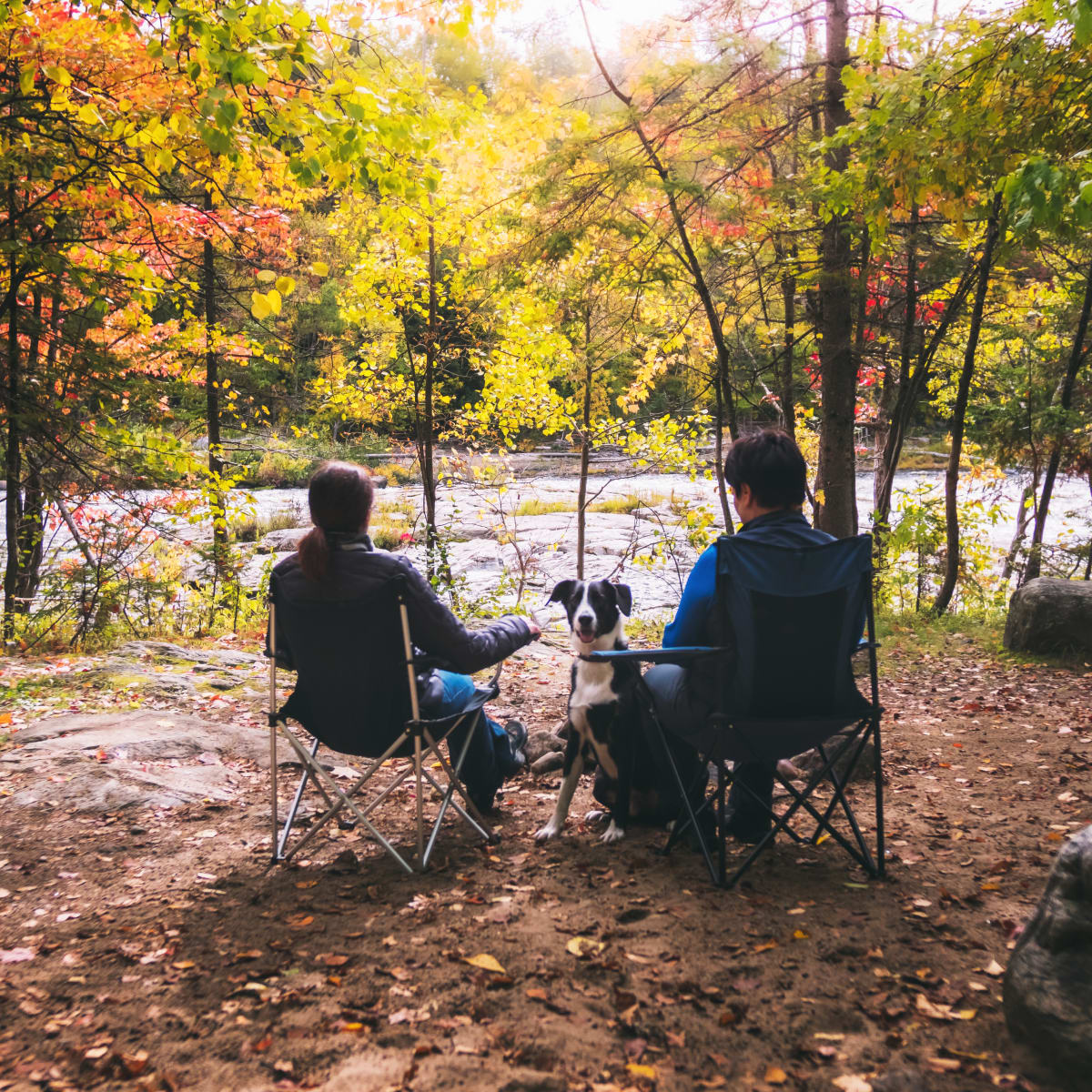 Perfect activities for a colourful fall with Quebec Adventure Outdoor - Relaxing with a dog in front of the river in autumn, Parc de la rivière Batiscan