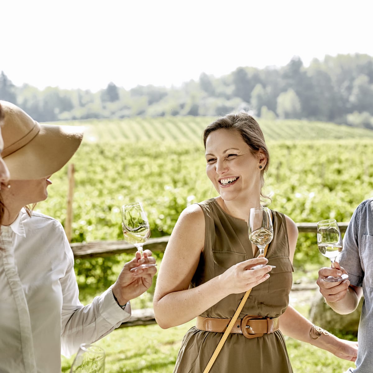 Brome-Missisquoi Wine Route - Wine tasting