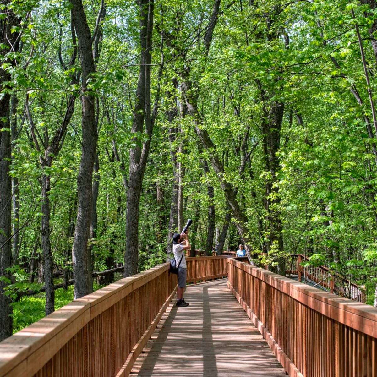 Discover what makes Nicolet-Yamaska such a rich region - Parc Écomaritime de l'Anse-du-Port