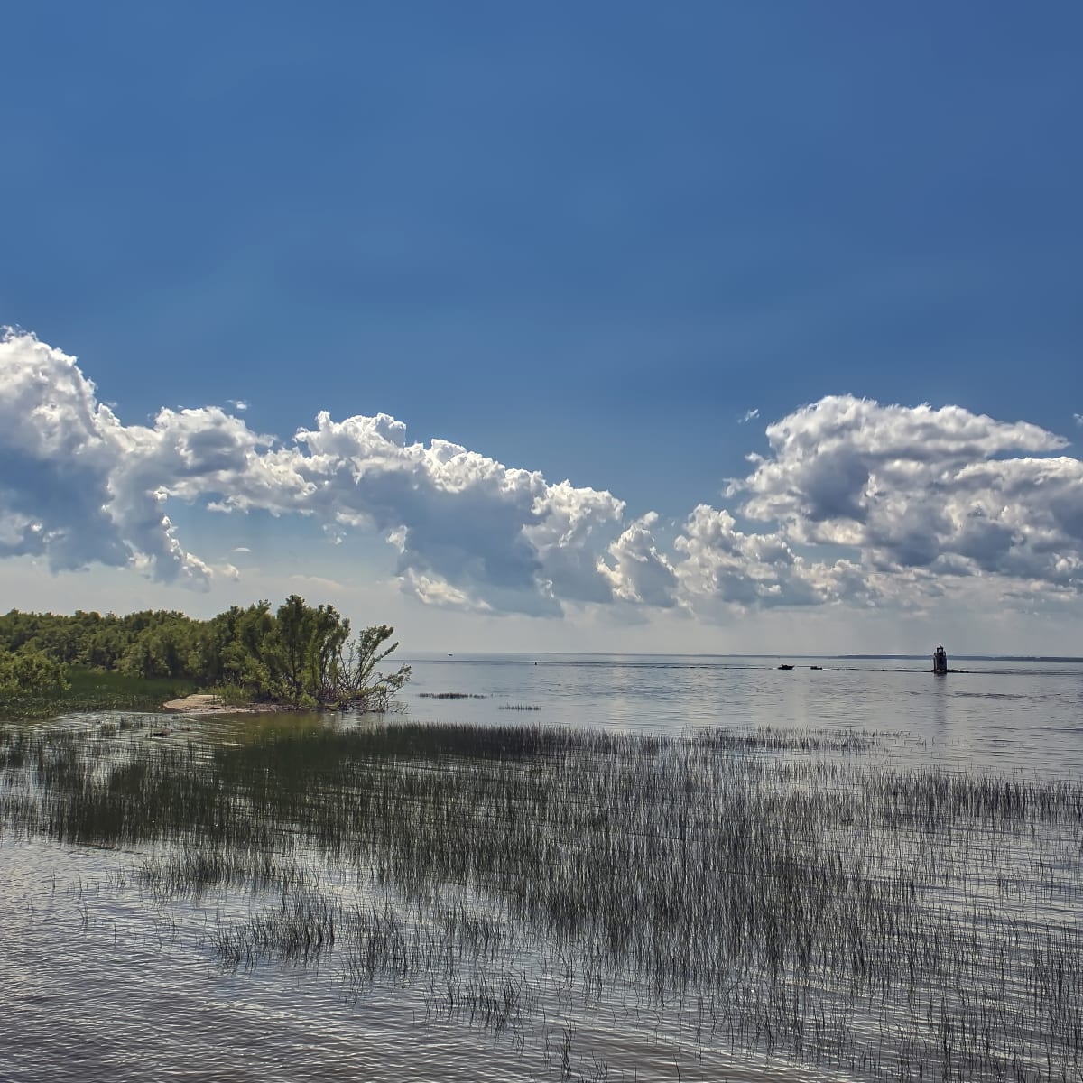 Discover what makes Nicolet-Yamaska such a rich region - Réserve mondialde la biosphère du Lac-Saint-Pierre
