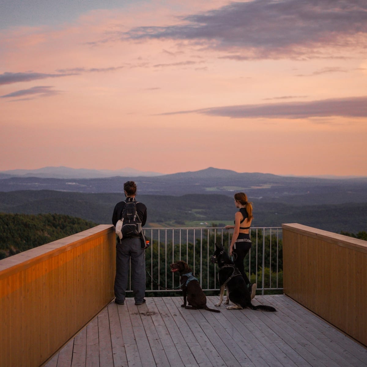 The 8 best dog-friendly hotels for summer vacations in Quebec - Hôtel Château-Bromont (Eastern Townships)