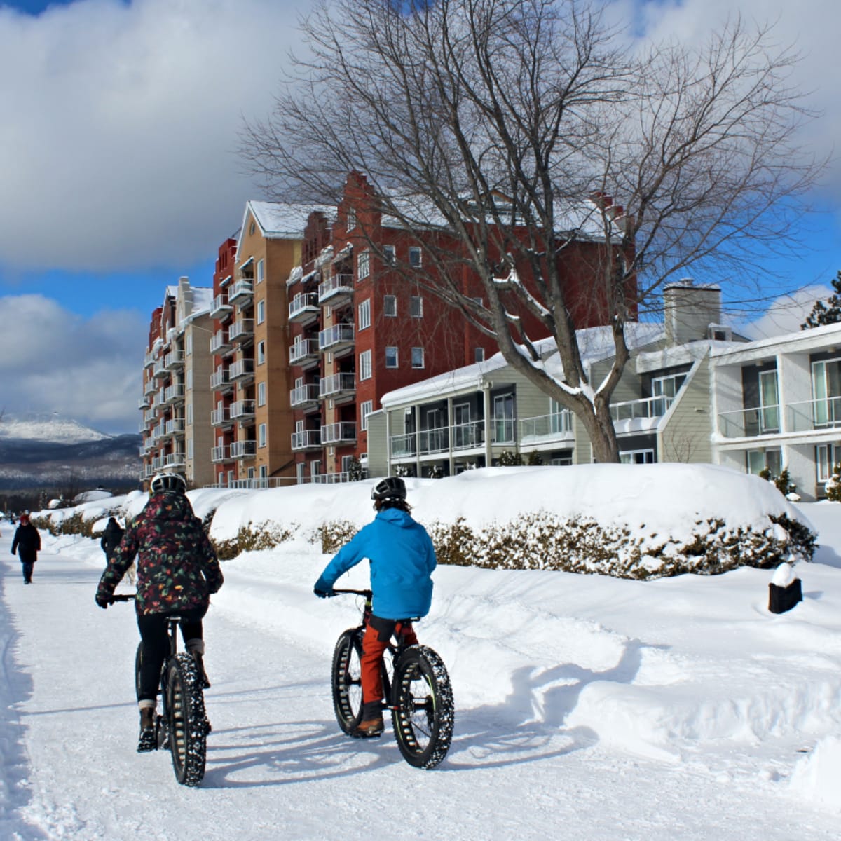 Winter with PAL+ | Touristic Experiences - Fatbike trail next to the hotel