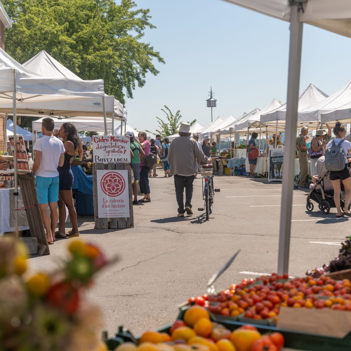 Sainte-Anne-de-Bellevue, s’évader sans s’éloigner - Samedi matin au Marché Sainte-Anne