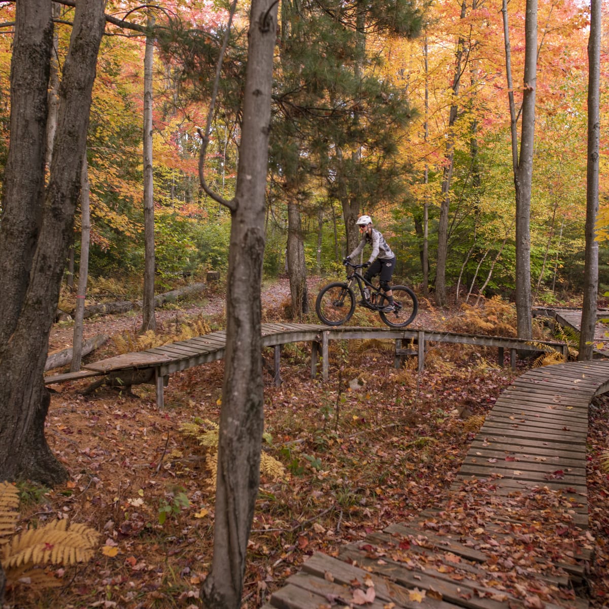 L’automne sous toutes ses couleurs dans Brome-Missisquoi - Parcours de vélo de montagne durant l'automne