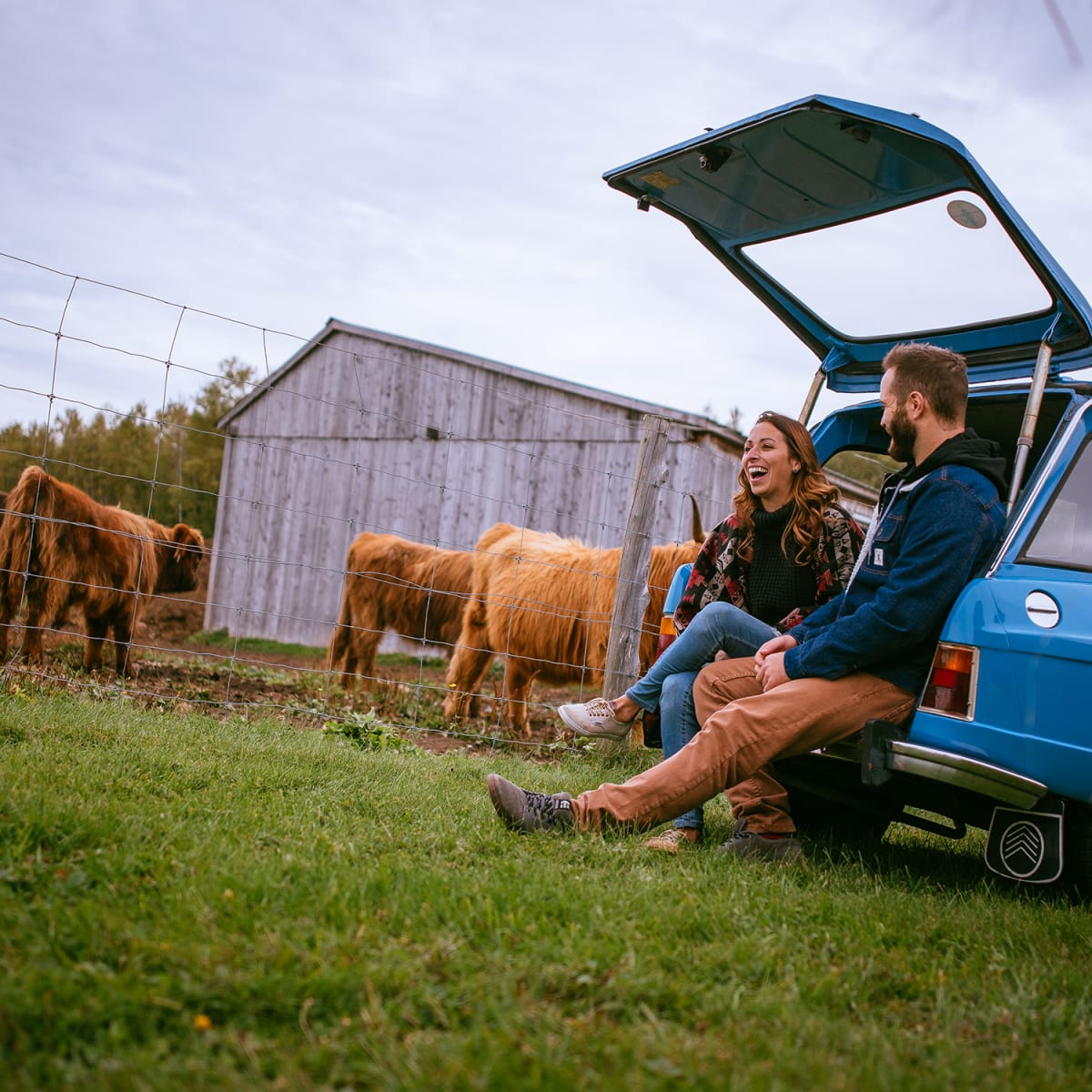Quoi faire cet automne au Centre-du-Québec - Visite à la ferme