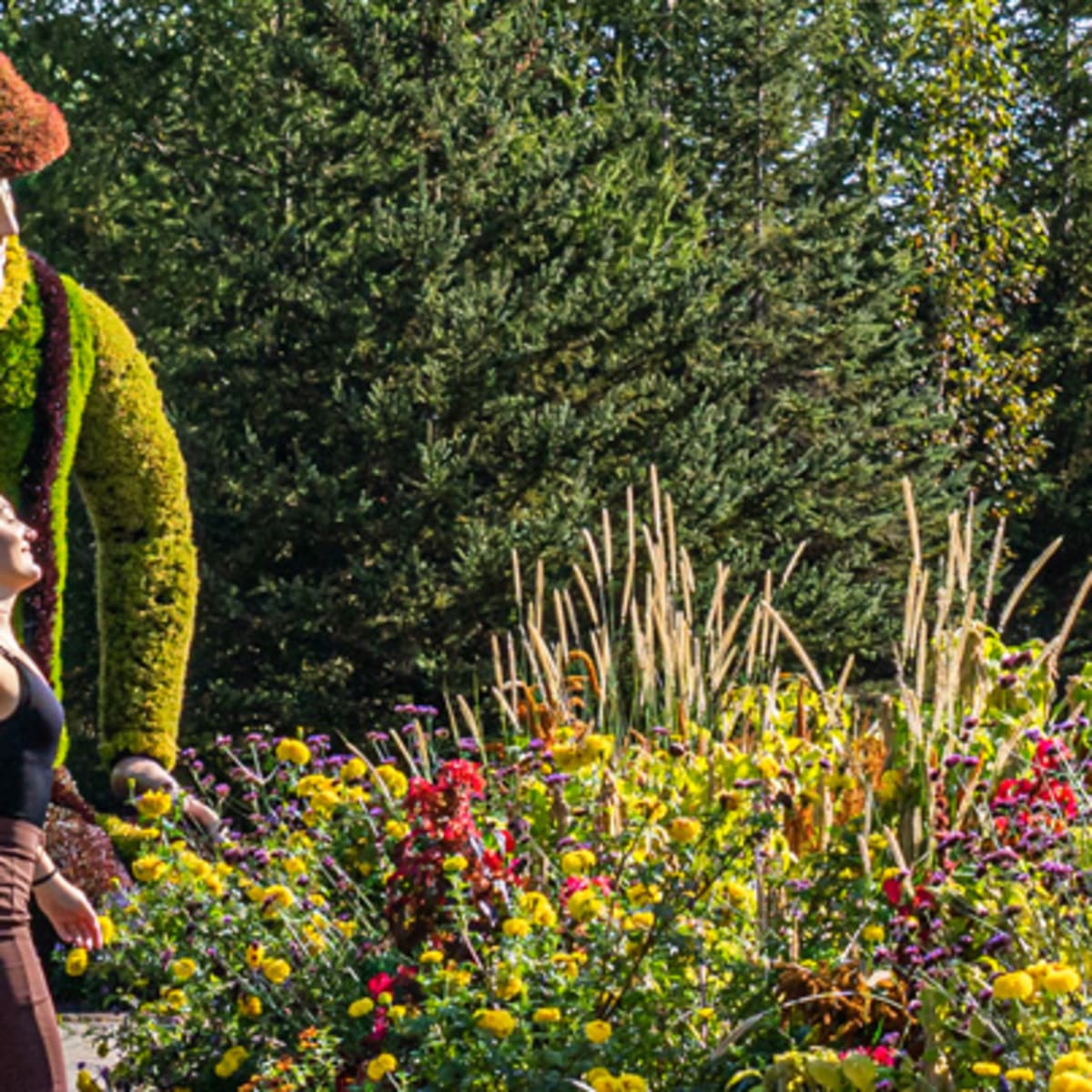 More than 240 surprising spots to discover in Centre-du-Québec! - Parc Marie-Victorin