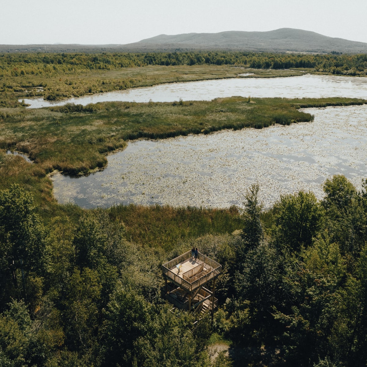 Discover all you can do in Granby! - Centre d’interprétation de la nature du lac Boivin