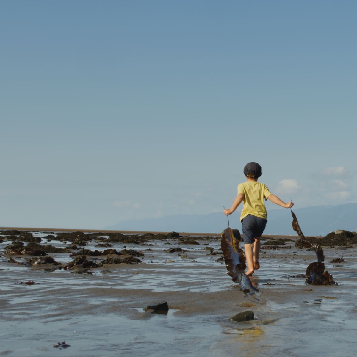 Isle-aux-Coudres - Isle-aux-Coudres: escape to a charming island!