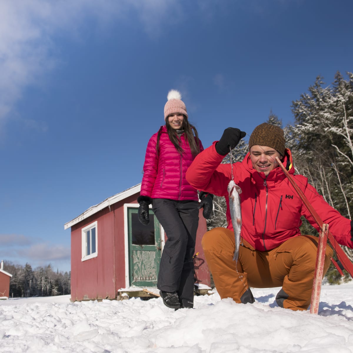 Les Laurentides, la nature à l’état pur!