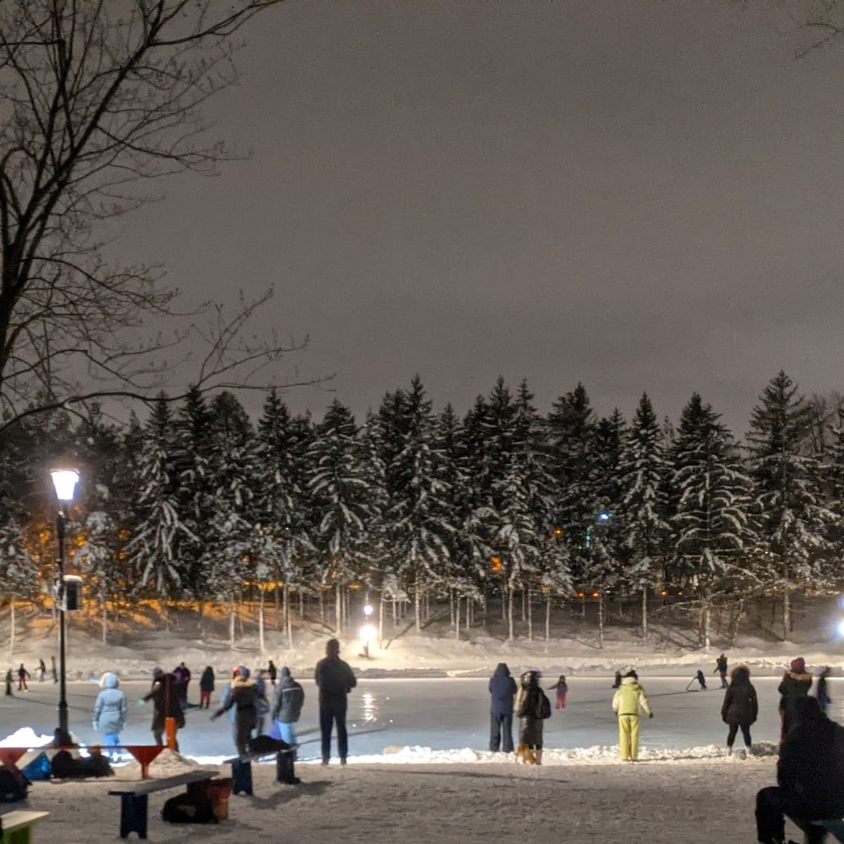 Discover Laval this winter!