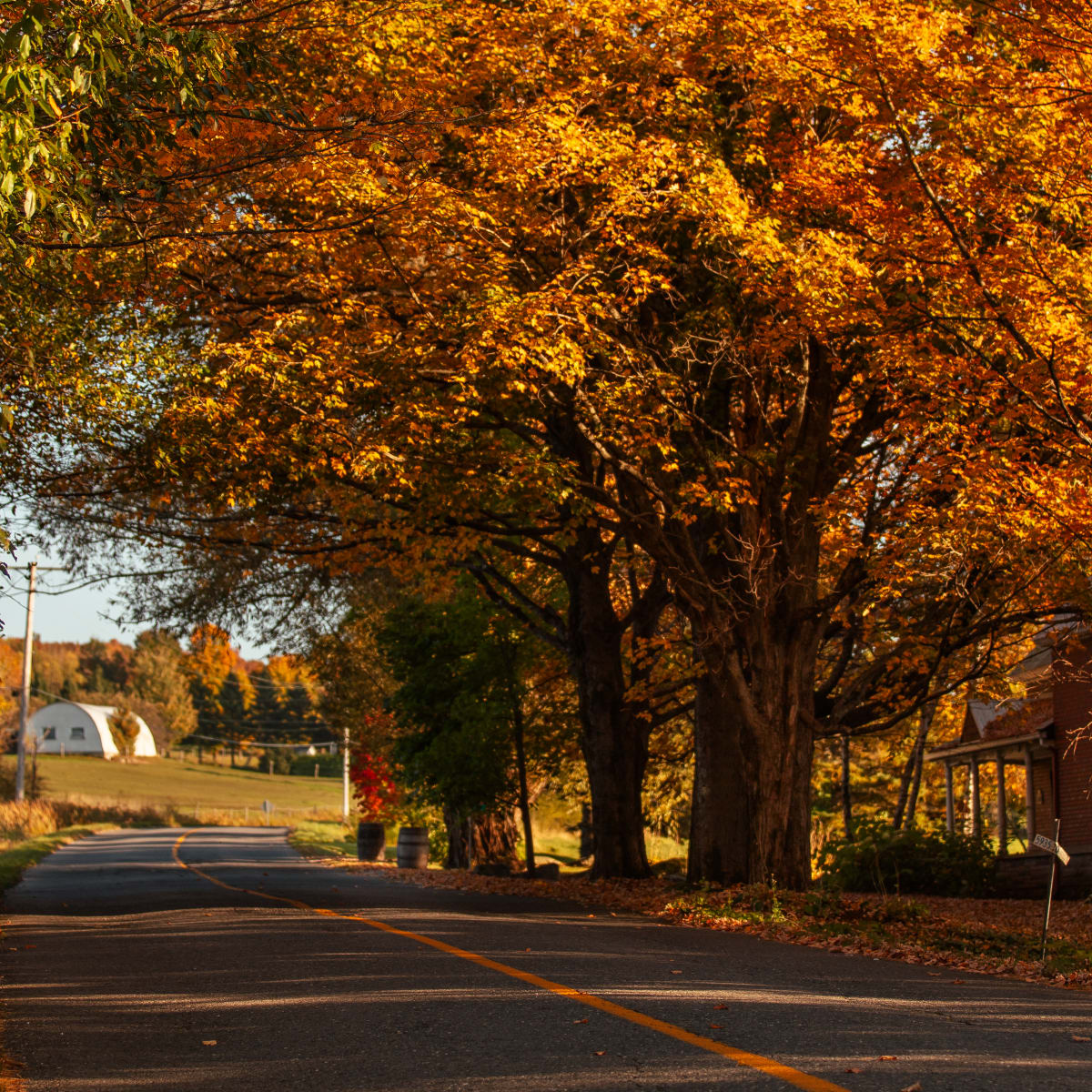 Discover the magic of autumn in Memphremagog - Enjoying the fall