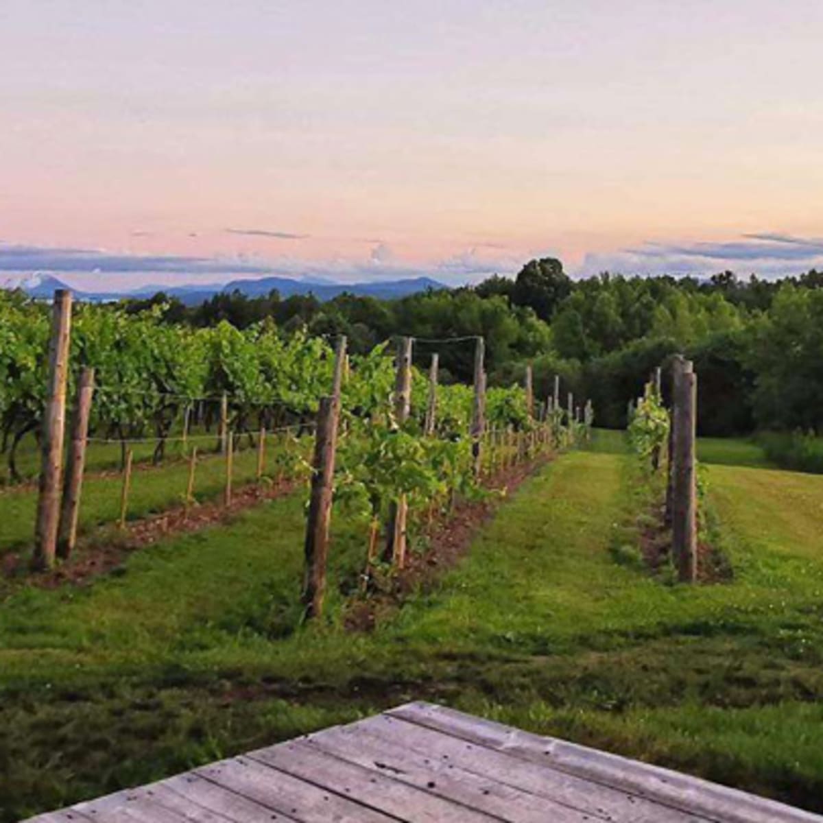 campagne_tourisme_memphremagog_ete_3_2023_1