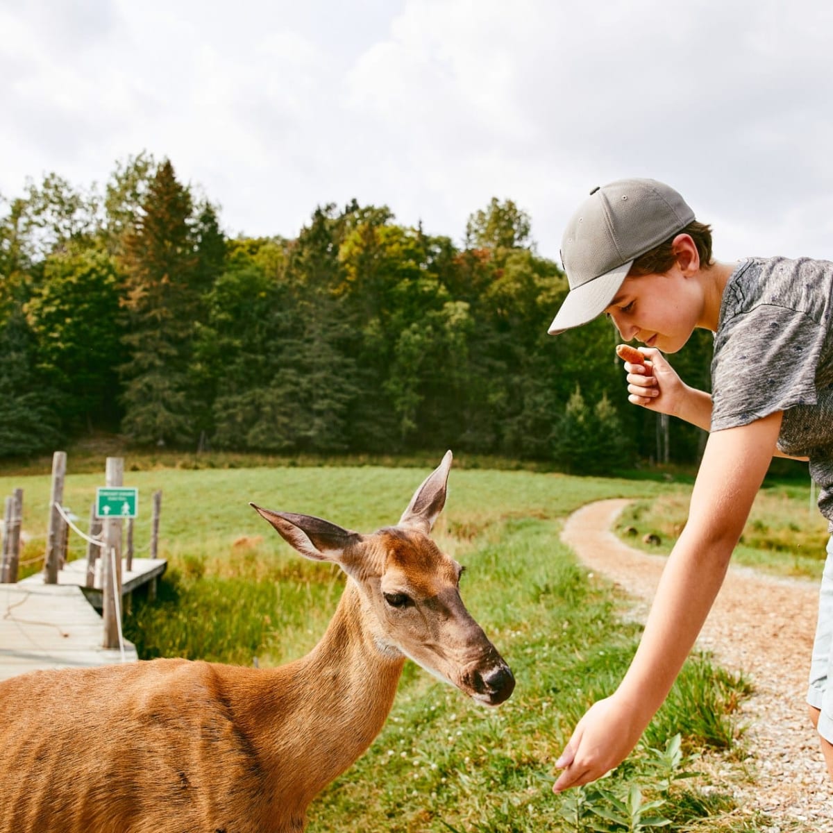 Discover all the areas of the Outaouais with these must-sees! - Parc Oméga