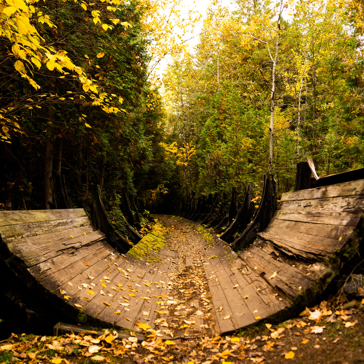 Unbeatable Portneuf! - Trail in autumn, Portneuf Regional Natural Park