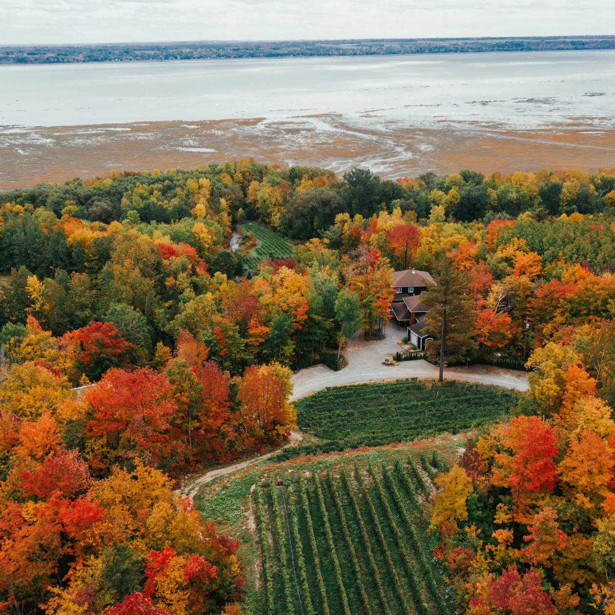 Unbeatable Portneuf! - Portneuf and its autumn colours