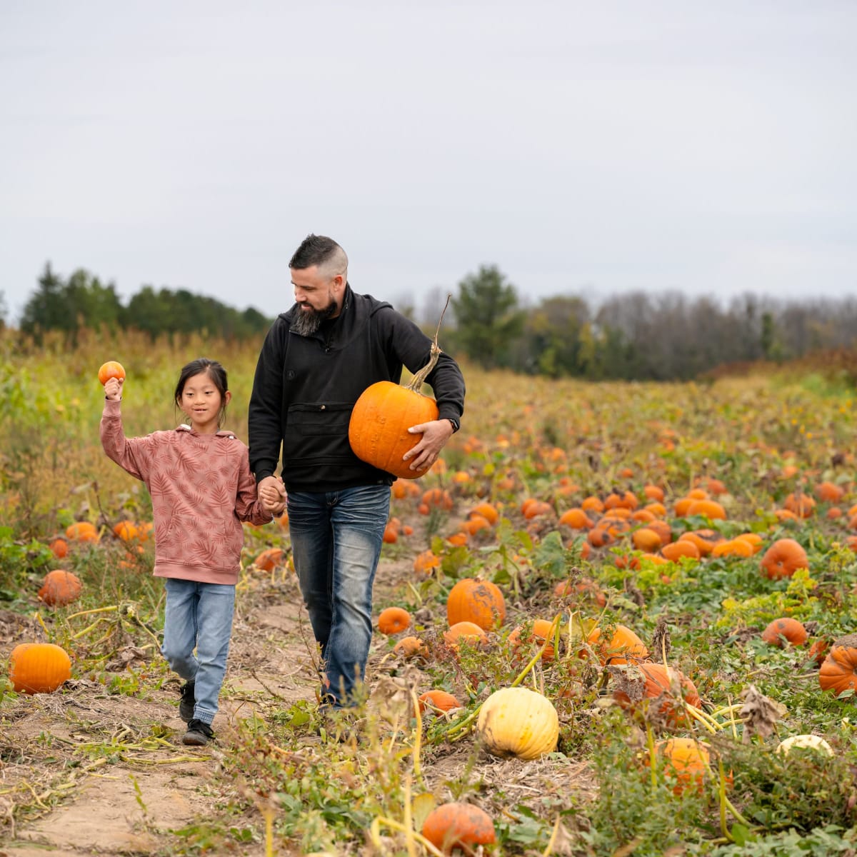 Vaudreuil-Soulanges en automne : nature, agrotourisme et plaisirs en famille - Cueillette de citrouilles en famille, La Ferme Quinn