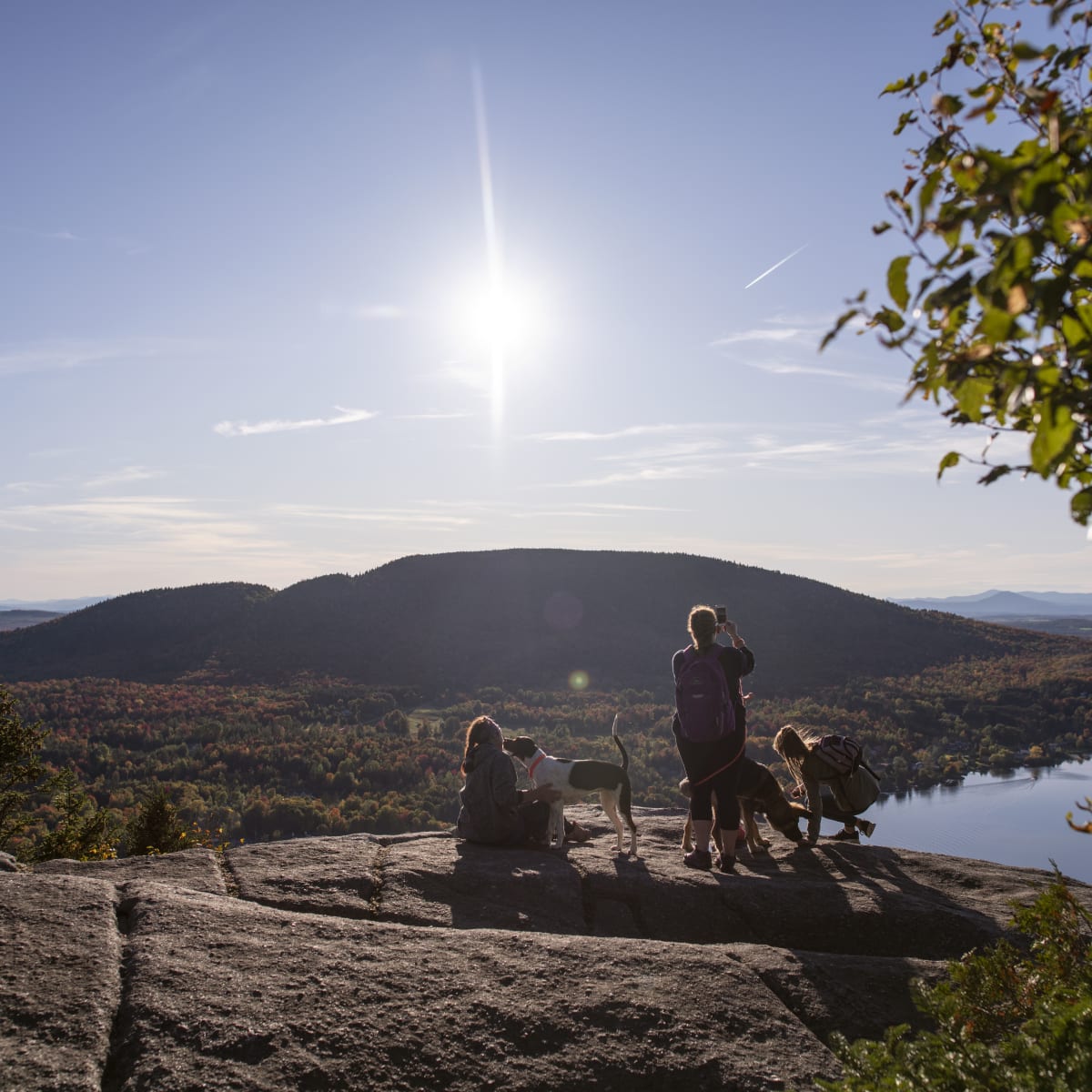 Découvrez les parcs qui acceptent les chiens au Québec!