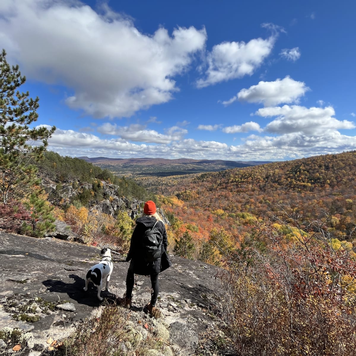 L’automne, idéal pour une randonnée avec votre chien!